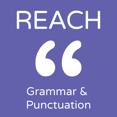 2023 Reach Assessments - Grammar and Punctuation NZL